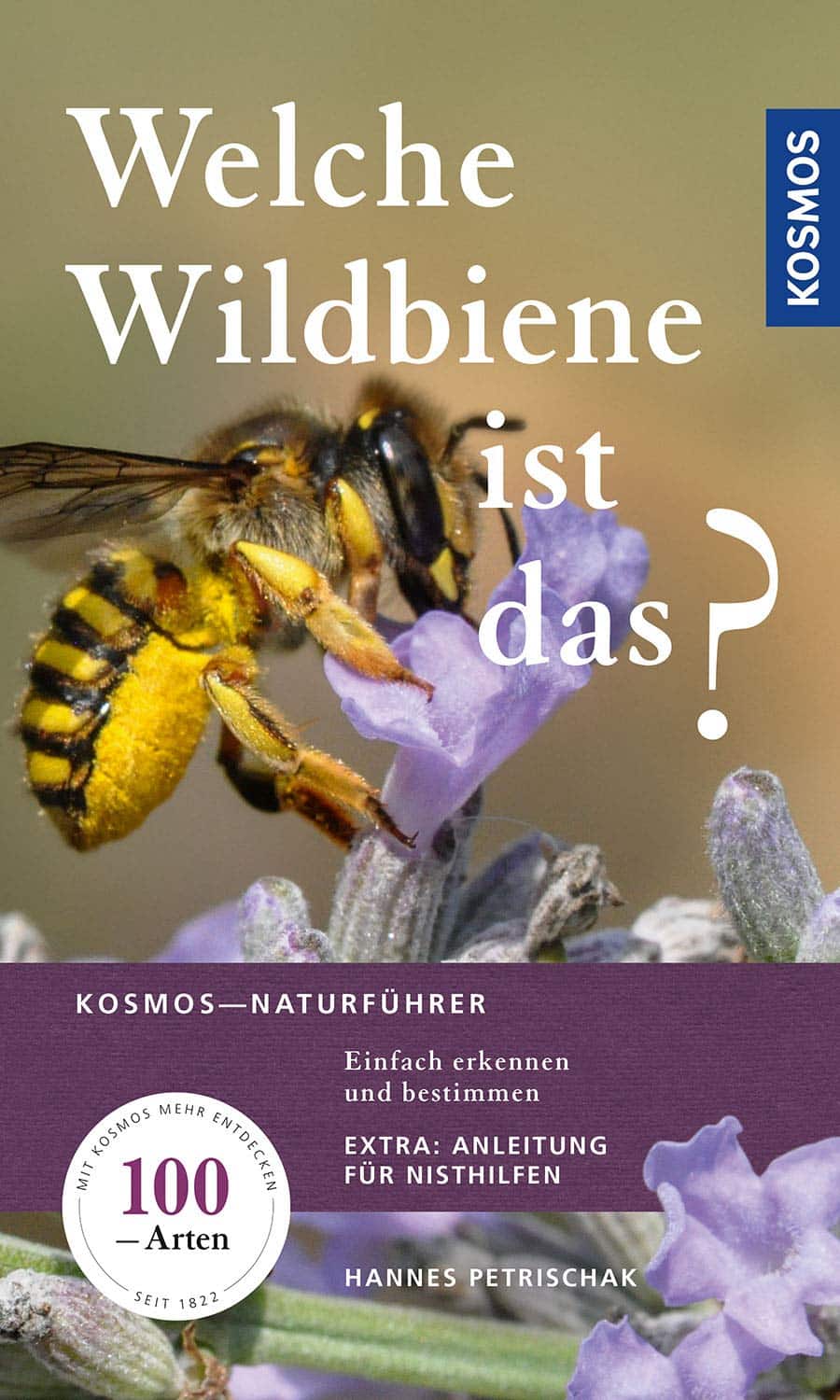 Welche Wildbiene ist das