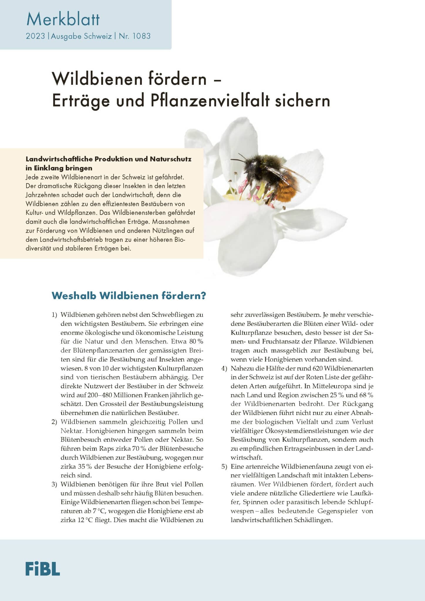 Wildbienen fördern