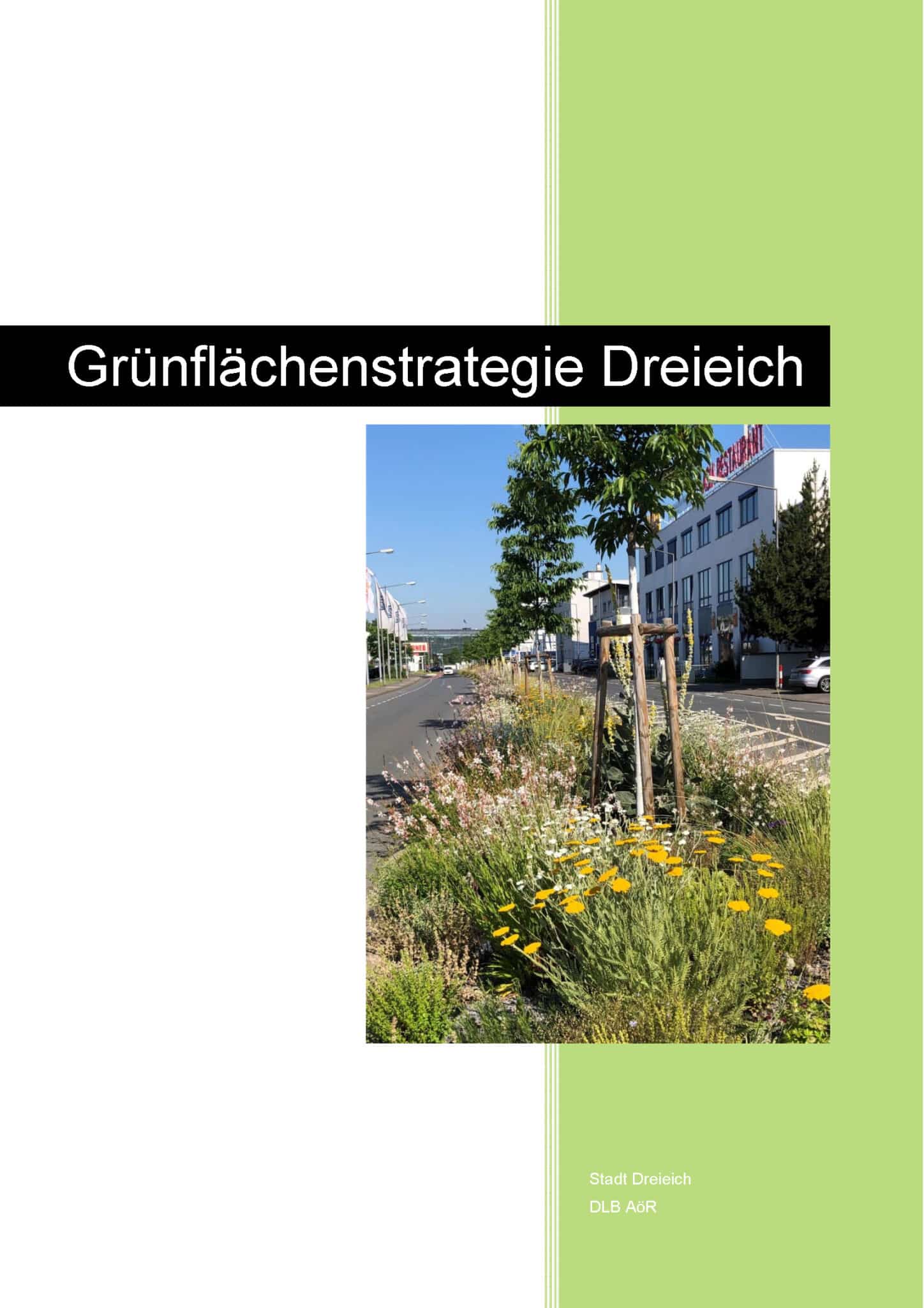 Grünflächenstrategie Dreieich 2020