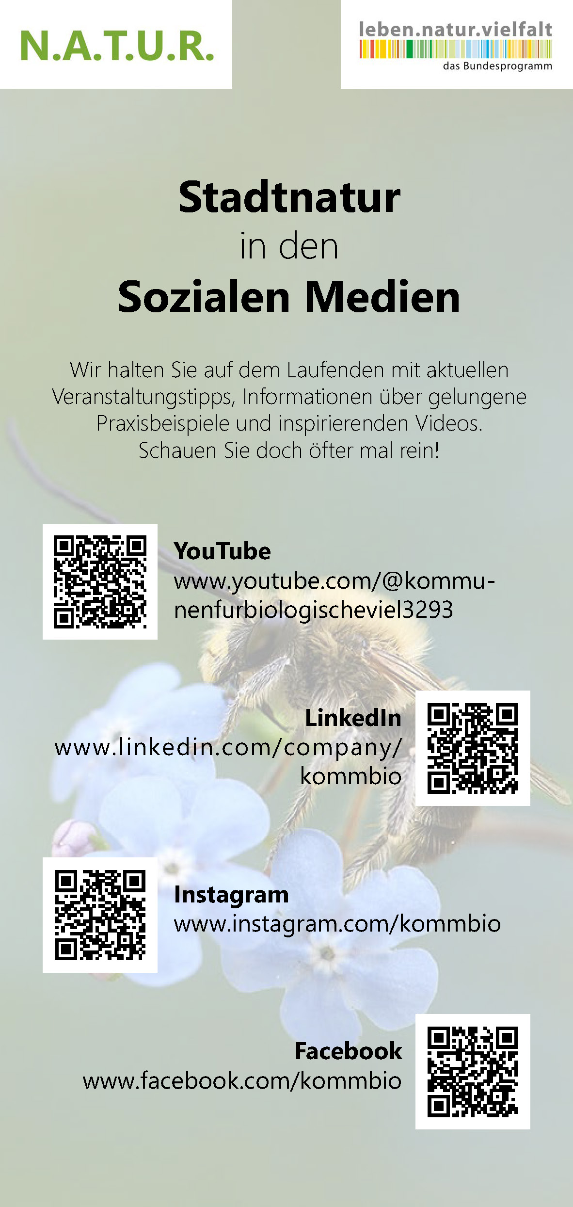 Flyer Social Media