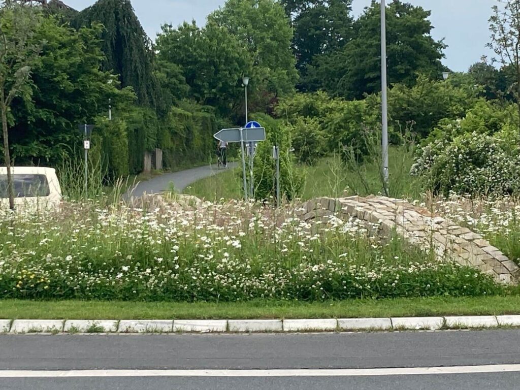 Kommunen für biologische Vielfalt - Mitglied - Stadt Münster – Profil2