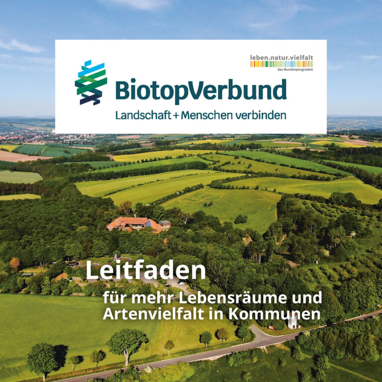 biotopverbund leitfaden fuer mehr lebensraeume und artenvielfalt in kommunen