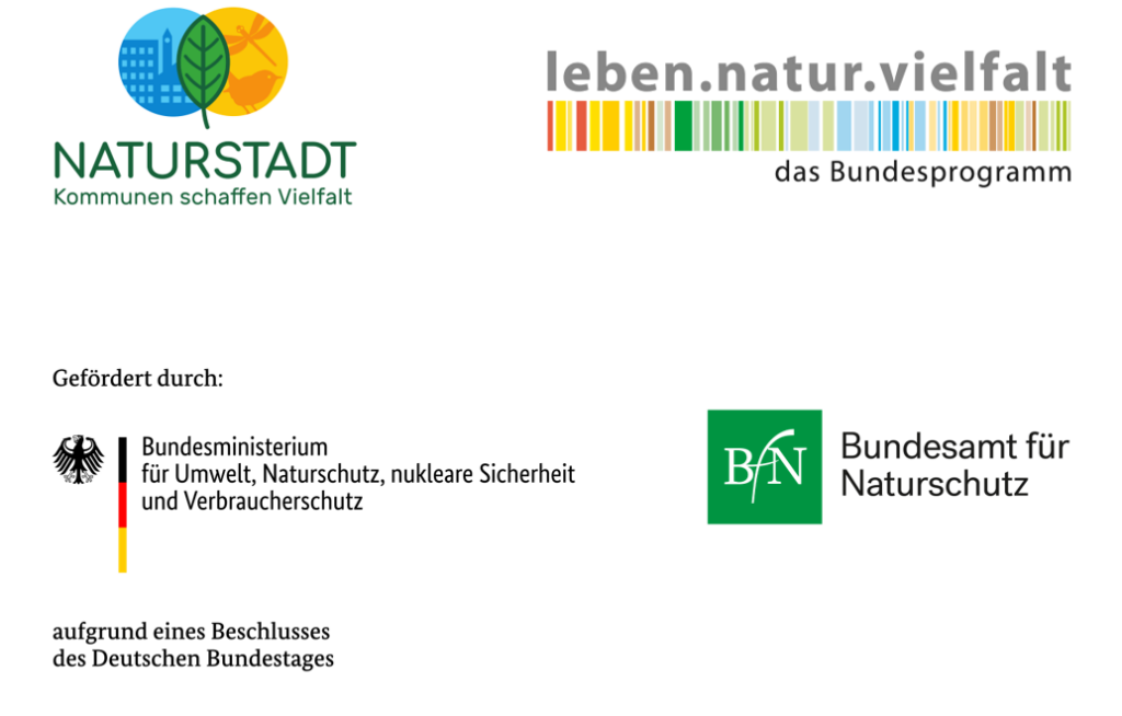 Logoleiste 250225
