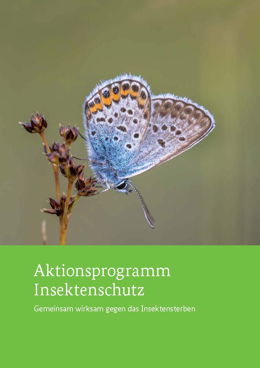 Aktionsprogramm Insektenschutz