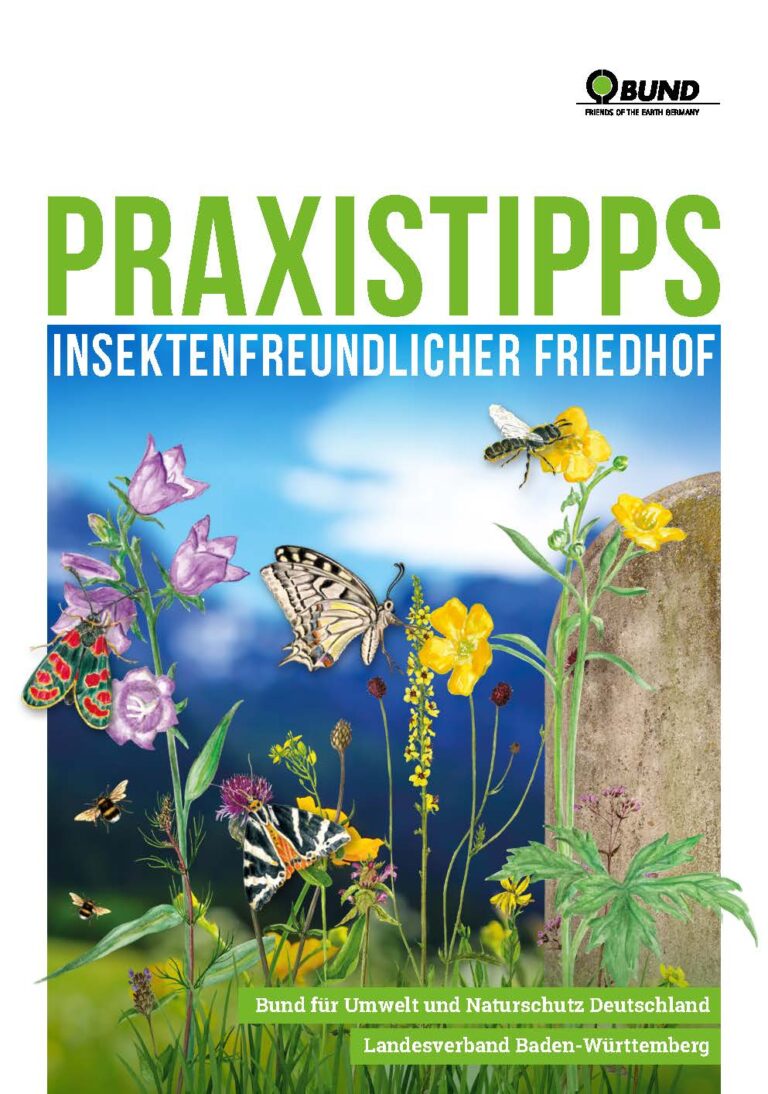 praxistipps insektenfreundlicher friedhof