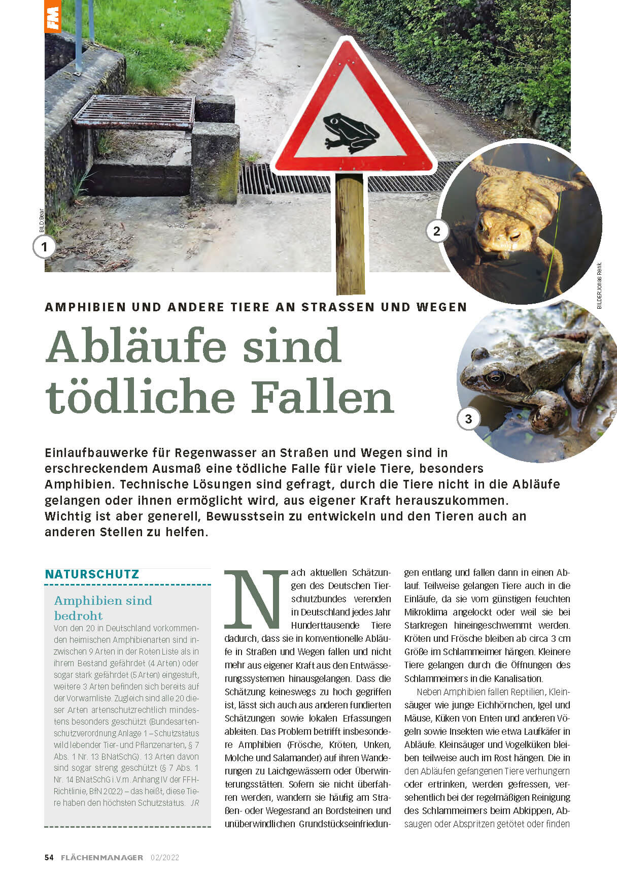 Abläufe sind tödliche Fallen (Flächenmanager)