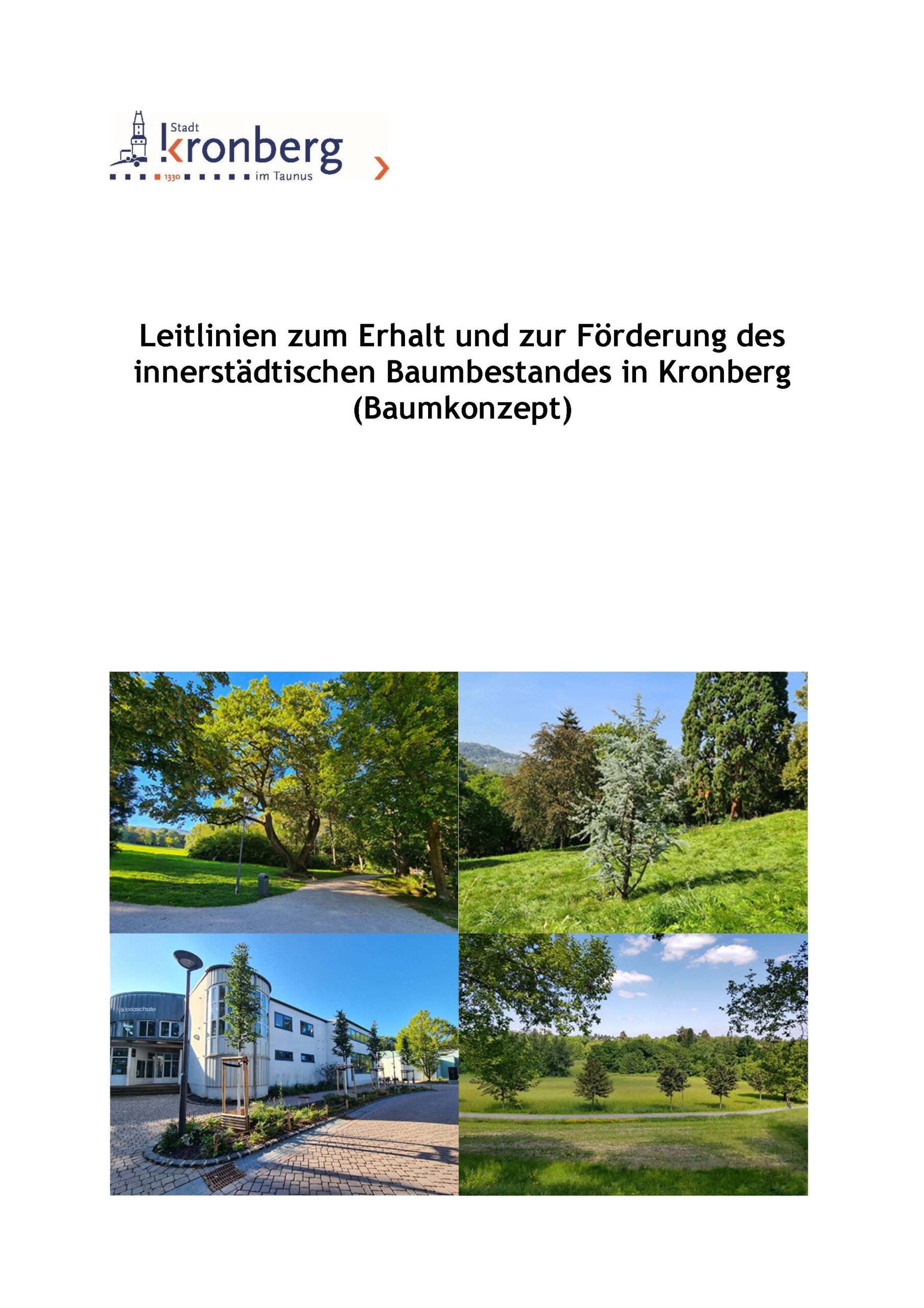 Baumkonzept Kronberg