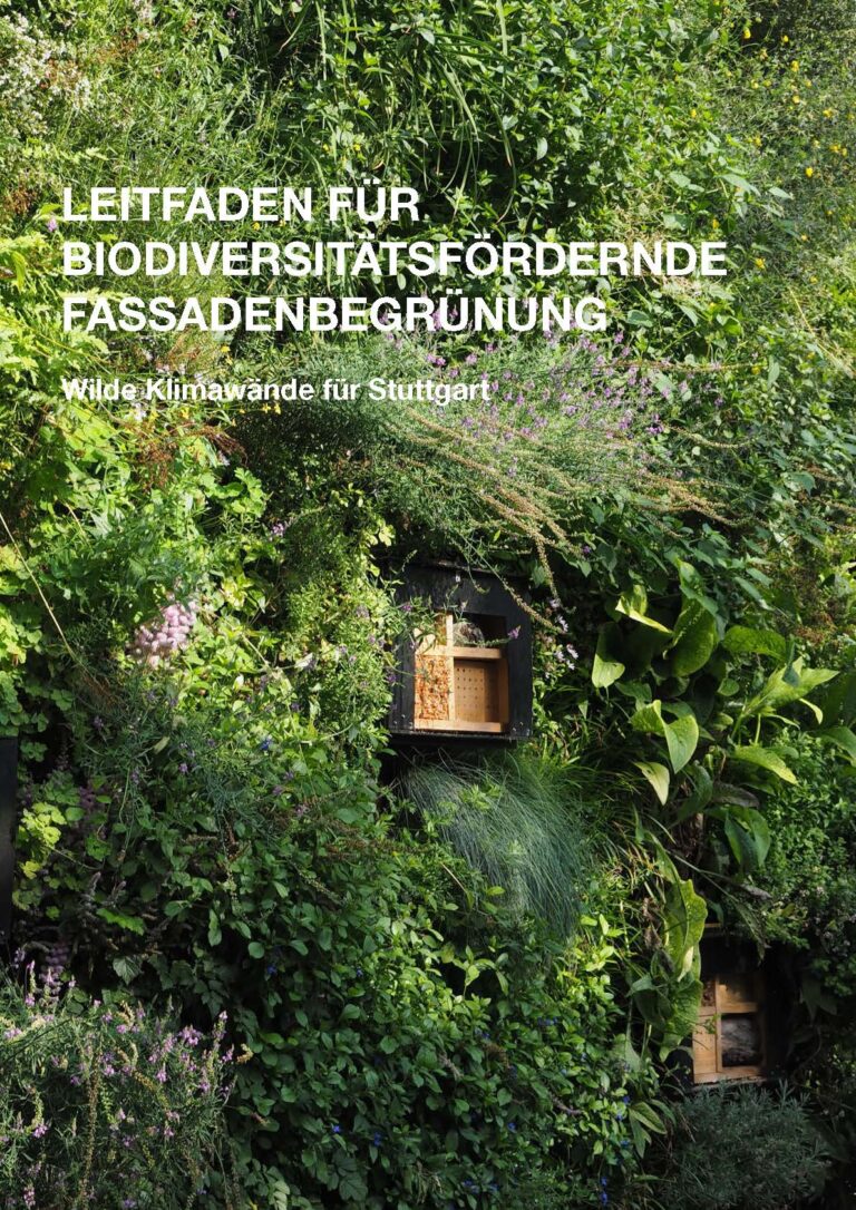 Leitfaden zur biodiversitaetsfreundlichen Fassadenbegruenung