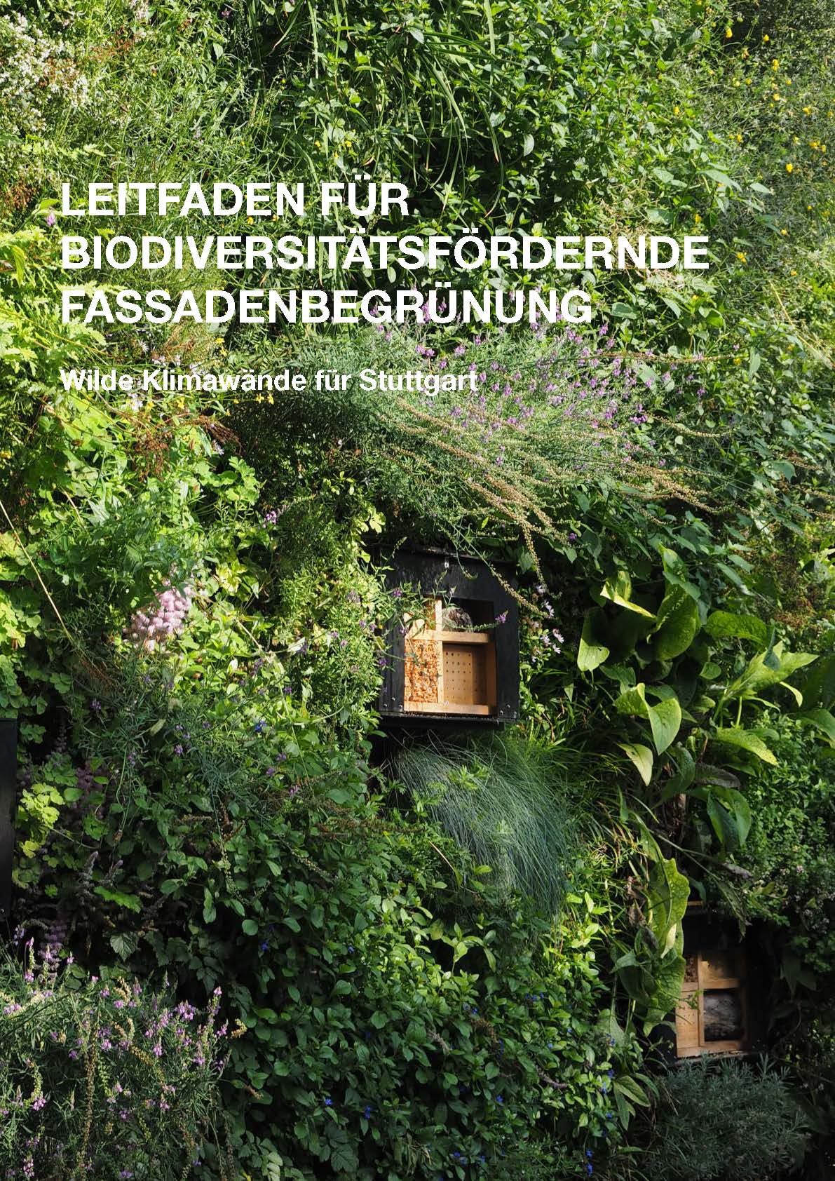 Leitfaden zur biodiversitätsfreundlichen Fassadenbegrünung