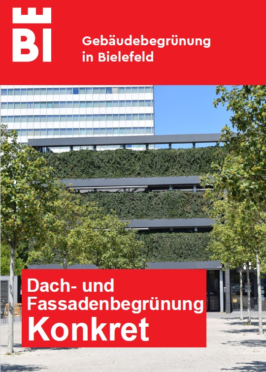 dach und fassadenbegruenung konkret