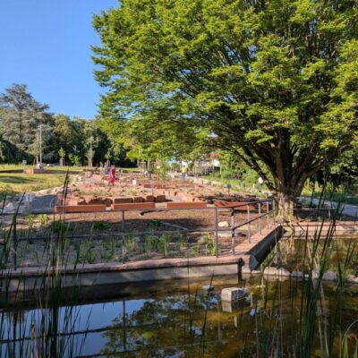 Kommunen für biologische Vielfalt - Praxisbeispiel - Stadt Wiesloch - Stadtschwingertanlage2