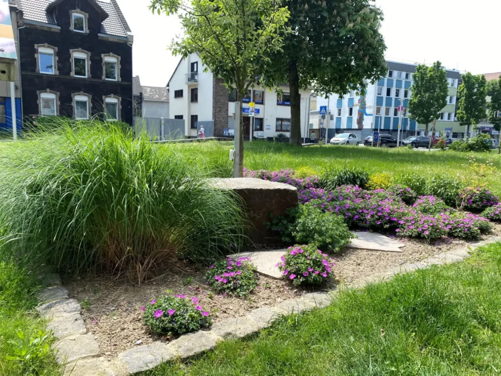 Kommunen für biologische Vielfalt - Praxisbeispiel - Stadt Andernach – Naturnaher Vorgarten – Grün ist das neue Pflegeleicht!5 - Schaubeet 1: Naturnahes Beet