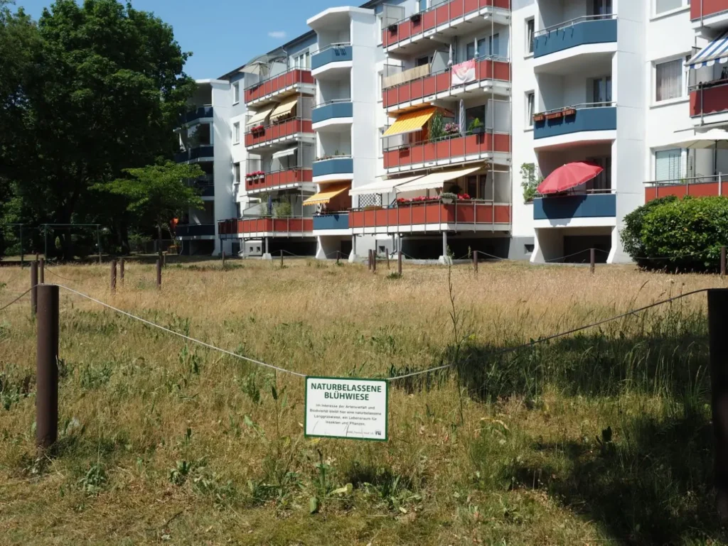 Kommunen für biologische Vielfalt - Praxisbeispiel - Bezirk Treptow-Köpenick von Berlin – Gelebte Vielfalt im Wohnumfeld4 - Blühwiese