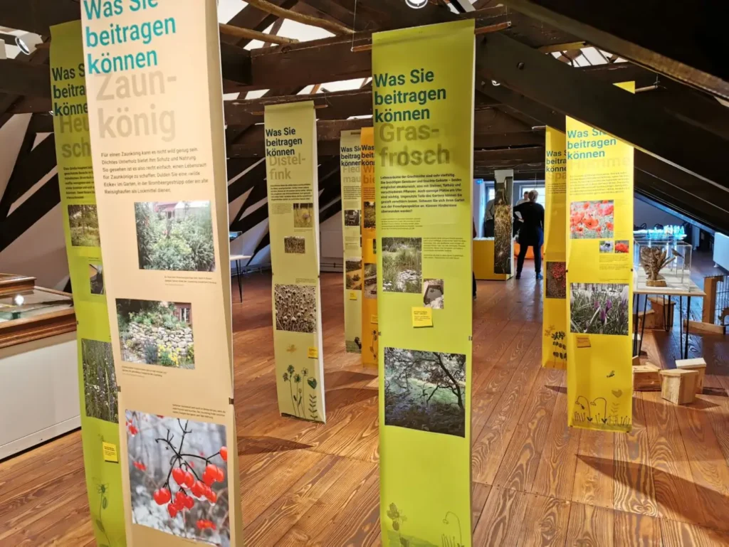 Kommunen für biologische Vielfalt - Praxisbeispiel - Stadt Bersenbrück – Naturnahes Wohngebiet Woltruper Wiesen V2 - Sonderausstellung "Stadtnatur - Bersenbrücks Weg in die Zukunft"