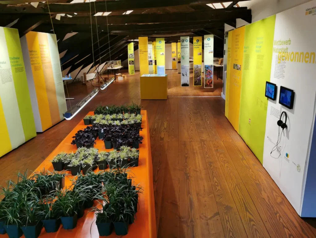 Kommunen für biologische Vielfalt - Praxisbeispiel - Stadt Bersenbrück – Naturnahes Wohngebiet Woltruper Wiesen V3 - Sonderausstellung "Stadtnatur - Bersenbrücks Weg in die Zukunft"