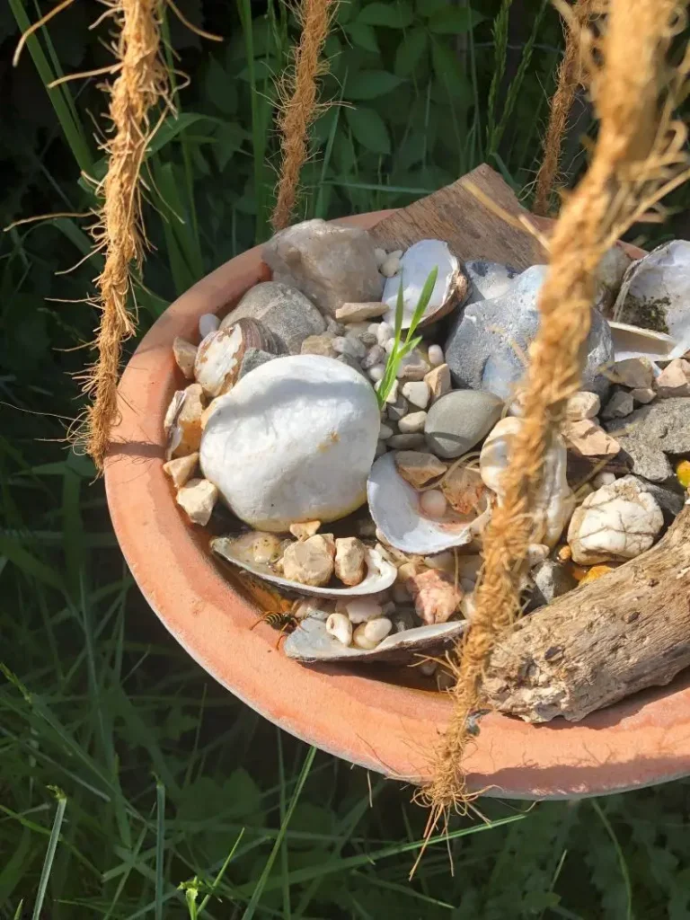 Kommunen für biologische Vielfalt - Praxisbeispiel - Gemeinde Brensbach – Insektentränken: 111 Wasserstellen für Insekten bauen und darüber sprechen1 - Private Insektentränke im Garten