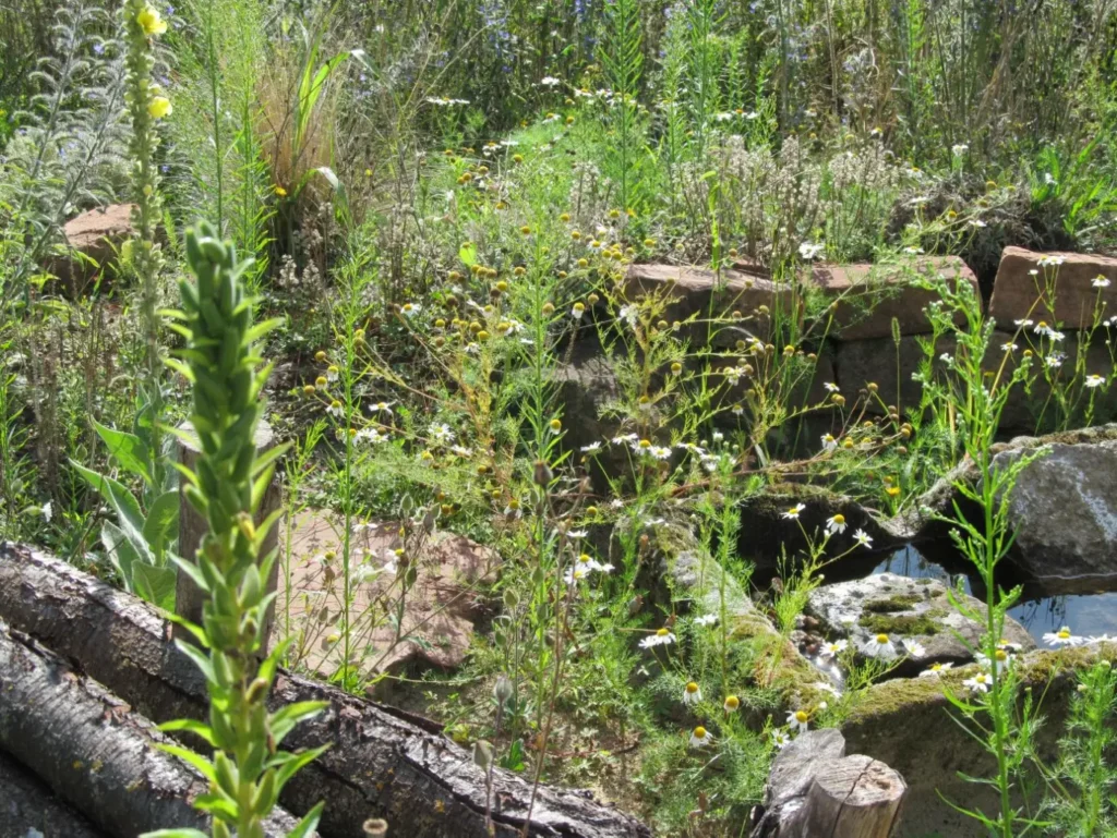 Kommunen für biologische Vielfalt - Praxisbeispiel - Gemeinde Brensbach – Insektentränken: 111 Wasserstellen für Insekten bauen und darüber sprechen2 - Insektentränke der Gemeinde Brombachtal