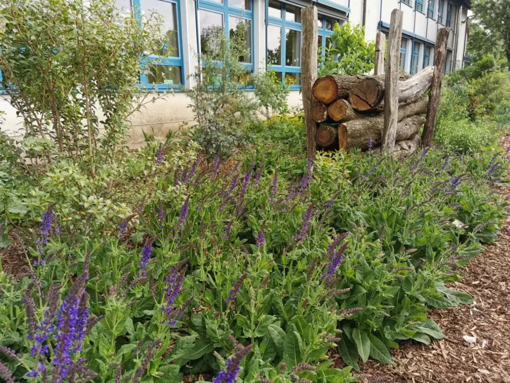 Kommunen für biologische Vielfalt - Praxisbeispiel - Stadt Delbrück – NADEL = Natur in Delbrück. Ökologische Aufwertung von Grünflächen des Schul- und Sportcampus in Delbrück3 - Blühfläche mit Totholzstruktur am Schul- und Sportcampus in Delbrück
