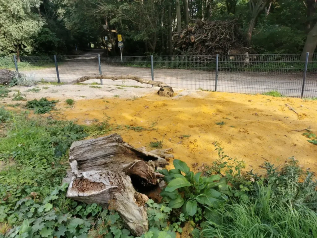 Kommunen für biologische Vielfalt - Praxisbeispiel - Stadt Dortmund – Natur ohne Mensch – Obst von Anderswo – Wiesen für Insekten2 - Sandarium mit Totholzelementen