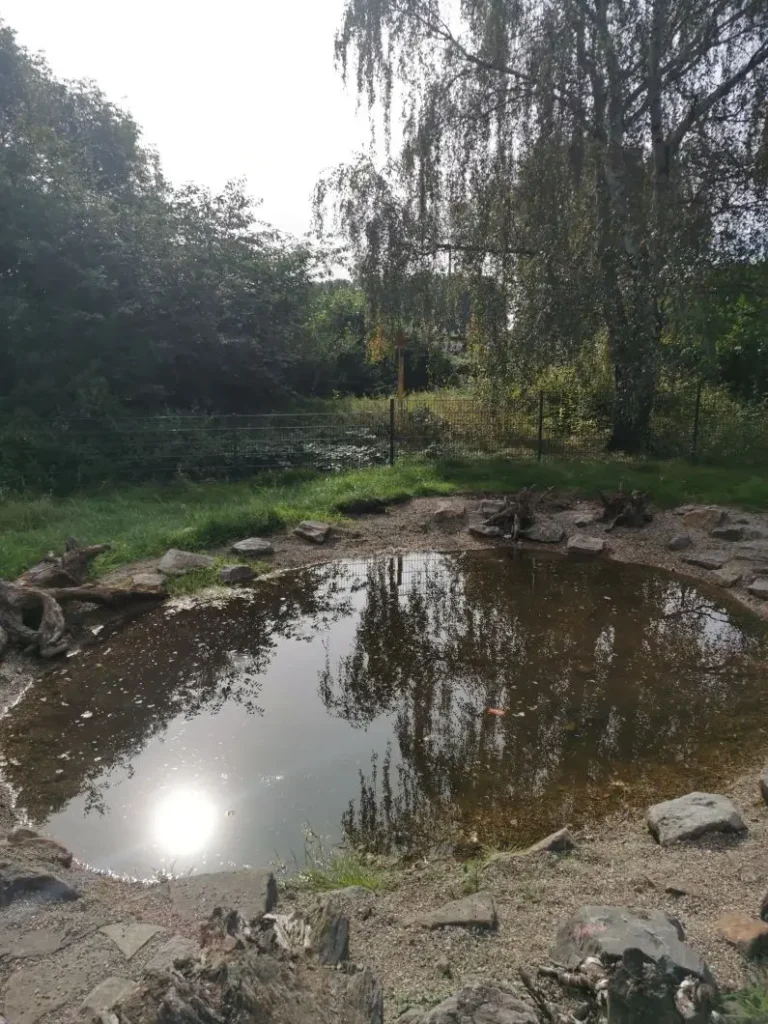 Kommunen für biologische Vielfalt - Praxisbeispiel - Stadt Dortmund – Natur ohne Mensch – Obst von Anderswo – Wiesen für Insekten4 - Feuchtbiotop
