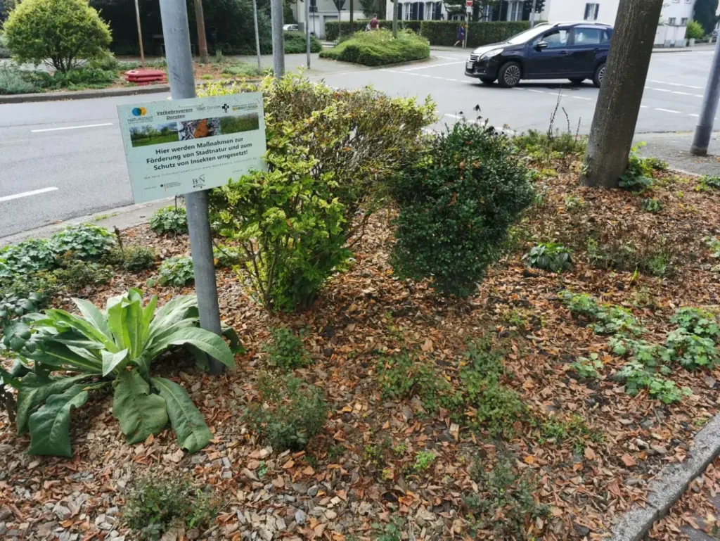 Kommunen für biologische Vielfalt - Praxisbeispiel - Stadt Dorsten – Von Roten Listen zu grünen Oasen – Auf Trittsteinen unterwegs in Dorsten1 - Staudenpflanzung auf Straßenbegleitgrün an der Klosterstraße