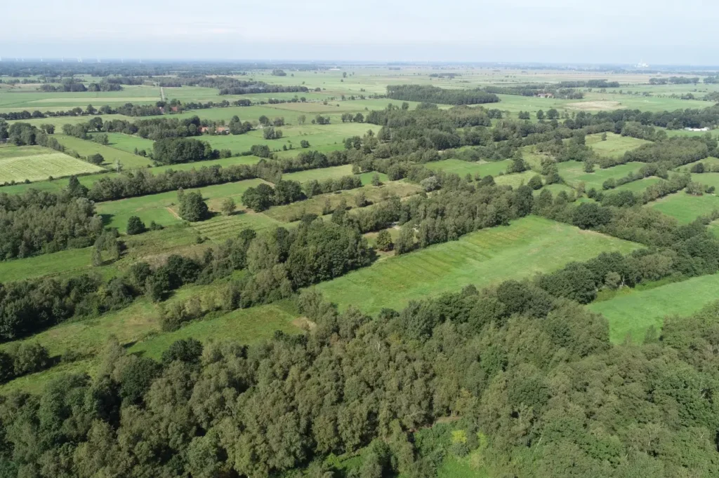 Kommunen für biologische Vielfalt - Praxisbeispiel - Gemeinde Ganderkesee – Entwicklung des Neuenlander Moores als Schwerpunktbiotop für amphibische und faunistische Lebensräume, CO2-Speicherstätte und Naturerfahrungslandschaft1 - Neuenlander Moor von oben
