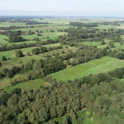 Kommunen für biologische Vielfalt - Praxisbeispiel - Gemeinde Ganderkesee – Entwicklung des Neuenlander Moores als Schwerpunktbiotop für amphibische und faunistische Lebensräume, CO2-Speicherstätte und Naturerfahrungslandschaft1 - Neuenlander Moor von oben