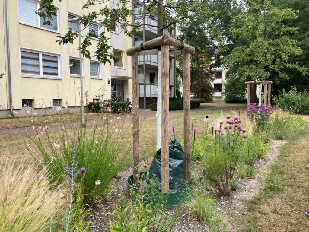 Kommunen für biologische Vielfalt - Praxisbeispiel - Stadt Hannover – Grenzen überwinden für mehr Insektenschutz1 - Baum- und Staudenpflanzun