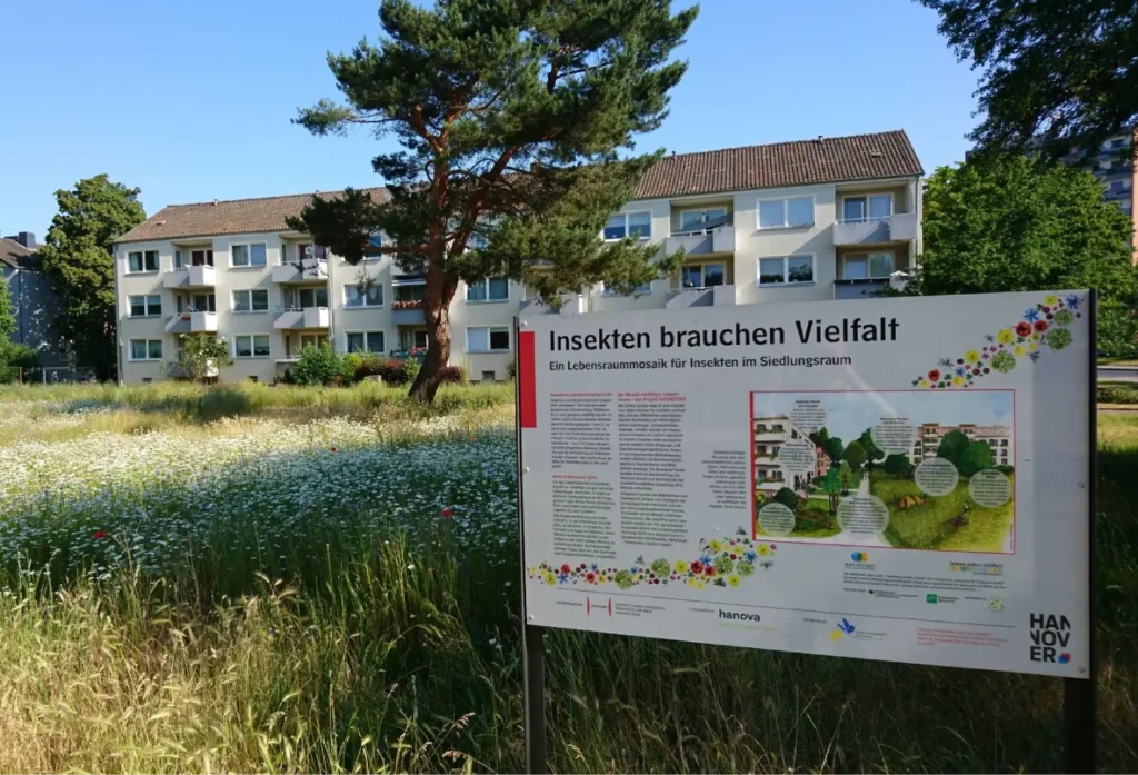 Kommunen für biologische Vielfalt - Praxisbeispiel - Stadt Hannover – Grenzen überwinden für mehr Insektenschutz3