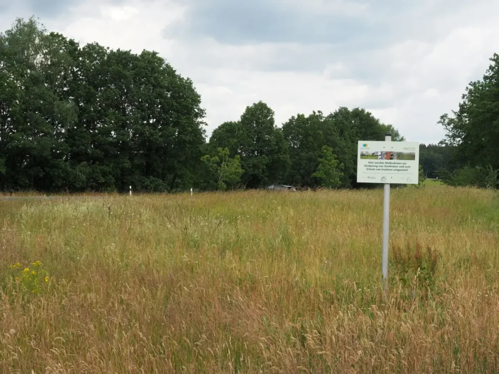Kommunen für biologische Vielfalt - Praxisbeispiel - Gemeinde Hummeltal – Hummelretter3 - Blühwiese