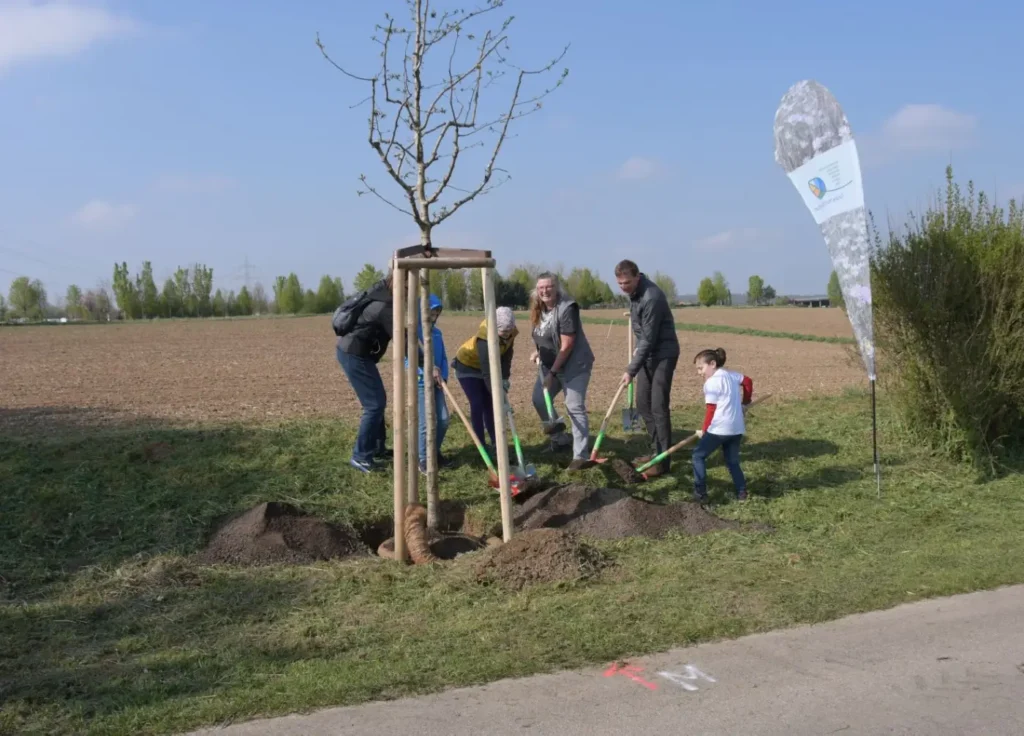 Kommunen für biologische Vielfalt - Praxisbeispiel - Stadt Ludwigsburg – Gemeinsam über Gemarkungsgrenzen hinweg nachhaltige Naturoasen entwickeln und vernetzen4 - Pflanzung von wegbegleitenden Gehölzen am Holzweg in Bietigheim-Bissingen