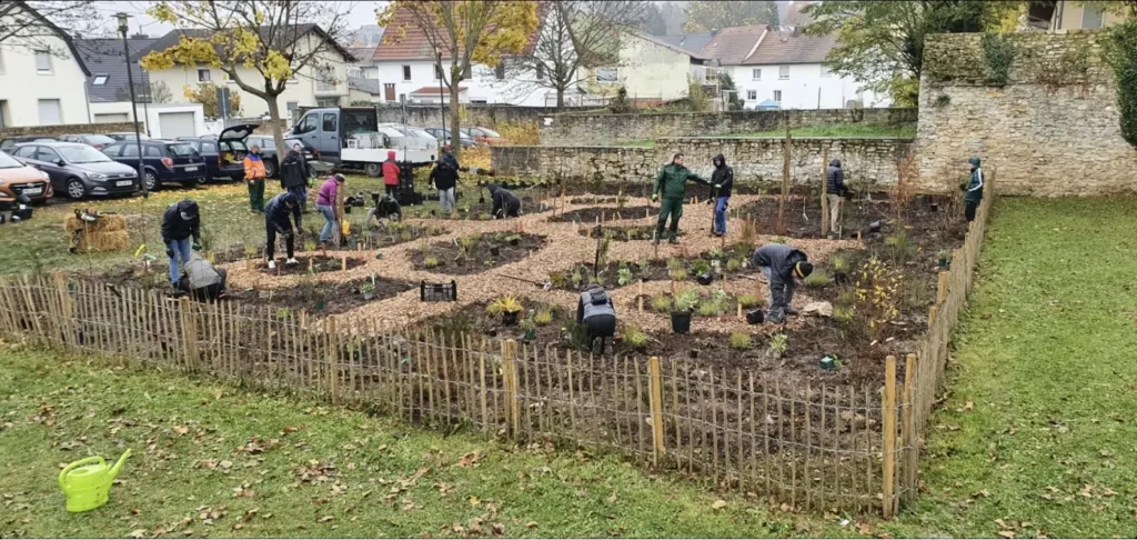 Kommunen für biologische Vielfalt - Praxisbeispiel - Landkreis Mainz-Bingen – Dynamischer Agroforst – innovative Anbaumethode für Klimaschutz in den Kommunen des Landkreises Mainz-Bingen1 - Pflanzaktion in Gau-Algesheim