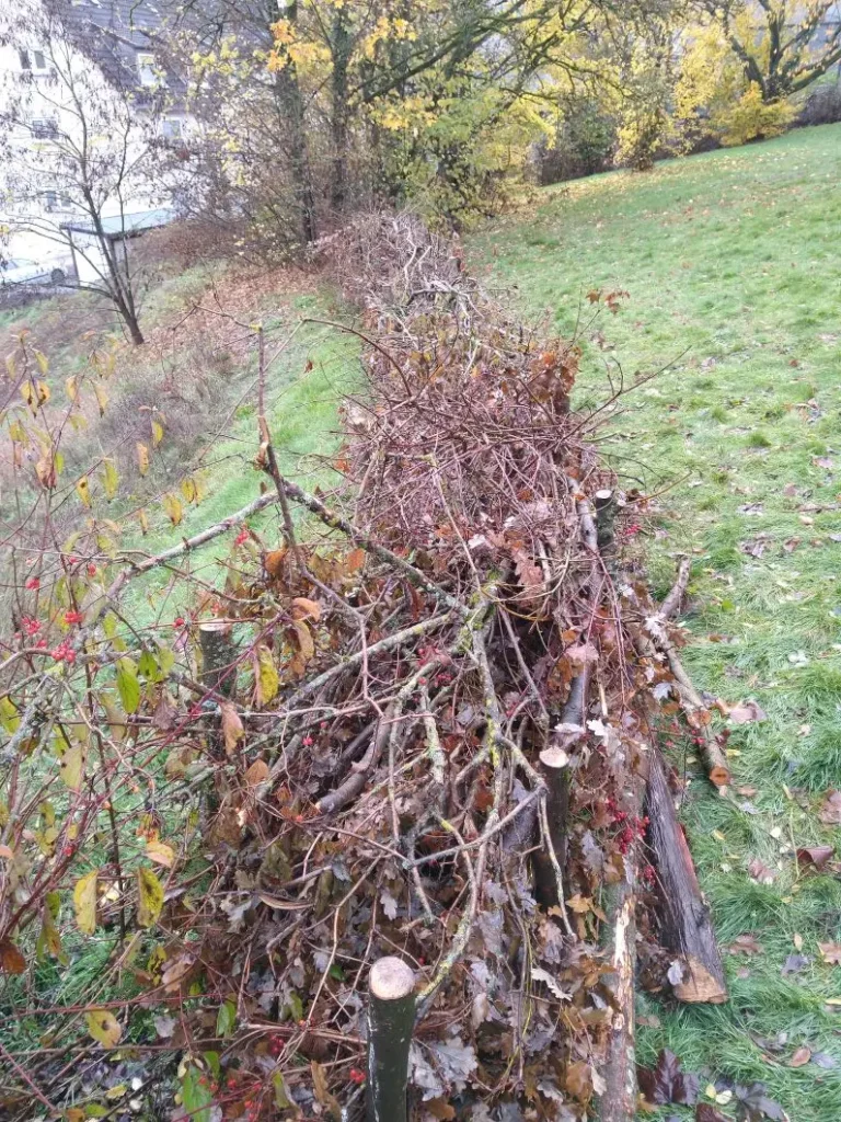 Kommunen für biologische Vielfalt - Praxisbeispiel - Oberbergischer Kreis – Es blüht und summt in Oberberg! Der naturfreundliche Garten der VHS Oberberg als neuer Lernort2 - Benjeshecke