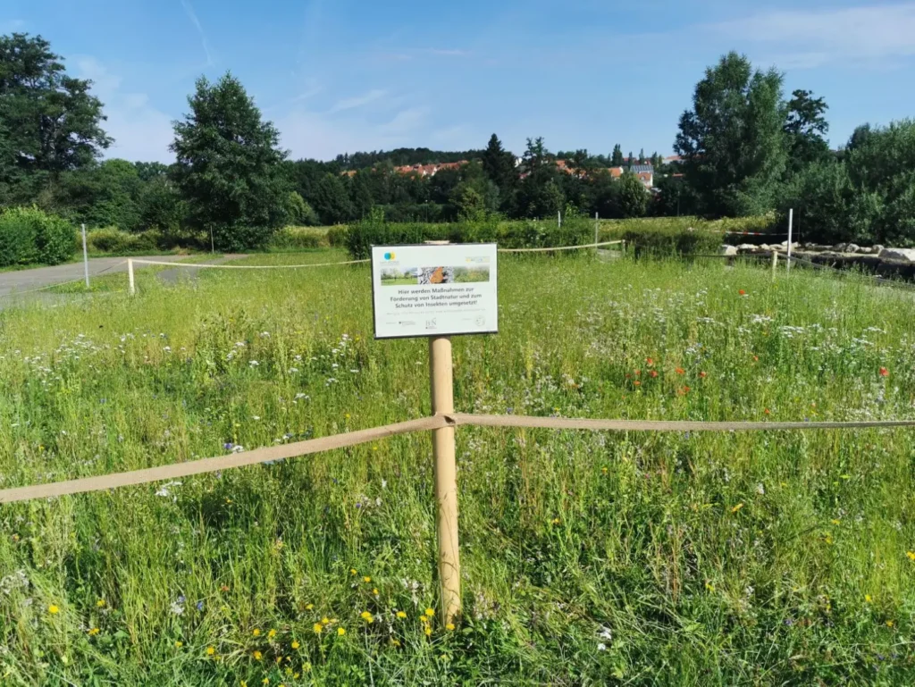 Kommunen für biologische Vielfalt - Praxisbeispiel - Stadt Pfaffenhofen – Gerolspark: Lebensräume leben2 - Beschilderung am Sandmagerrasen