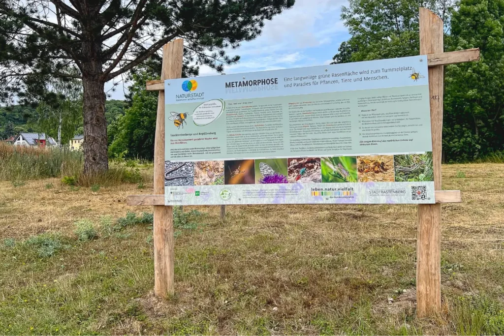 Kommunen für biologische Vielfalt - Praxisbeispiel - Stadt Rastenberg – Rastenberg natürlich | Wohnen. Erholen. Meine Stadt. Wir denken weiter und säen für die Zukunft4 - Infotafel