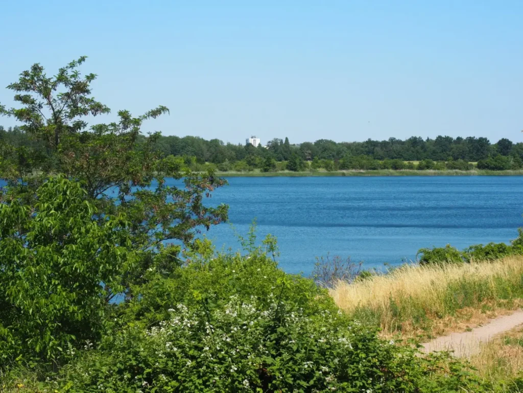 Kommunen für biologische Vielfalt - Praxisbeispiel - Stadt Sandersdorf-Brehna – Nachhaltige Bildungslandschaft Postgrube2 - Projektkulisse Baggersee "Postgrube"