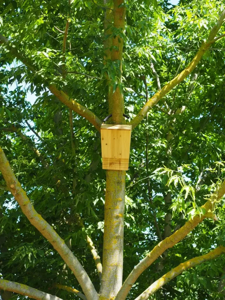 Kommunen für biologische Vielfalt - Praxisbeispiel - Stadt Sandersdorf-Brehna – Nachhaltige Bildungslandschaft Postgrube3 - Fledermausquartier