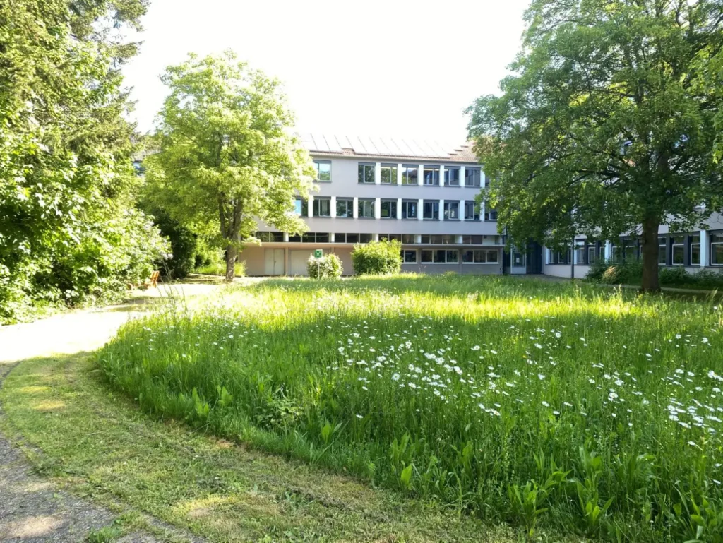Kommunen für biologische Vielfalt - Praxisbeispiel - Landkreis Sankt Wendel – Wildbienen-Schulen im Landkreis St. Wendel – Bienenweiden und Insektennisthilfen als außerschulische Lernorte1 - Blühwiese auf dem Gelände der Berufsbildungsschule