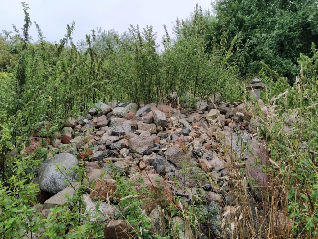Kommunen für biologische Vielfalt - Praxisbeispiel - Gemeinde Trinwillershagen – Trinwillershagen auf dem Weg zur grünen Gemeinde durch das Anlegen von Blühstreifen und Blühwiesen5 - Lesesteinhaufen als Insektennisthilfe