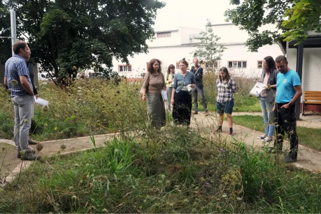Kommunen für biologische Vielfalt - Praxisbeispiel - Wülknitz / Elbe-Röder-Dreieck – Artenvielfalt und Biodiversität im ländlichen Raum – Kommunen und Unternehmen im Elbe-Röder-Dreieck werden aktiv3 - Exkursion zum Thema "Naturnahe Firmengelände"