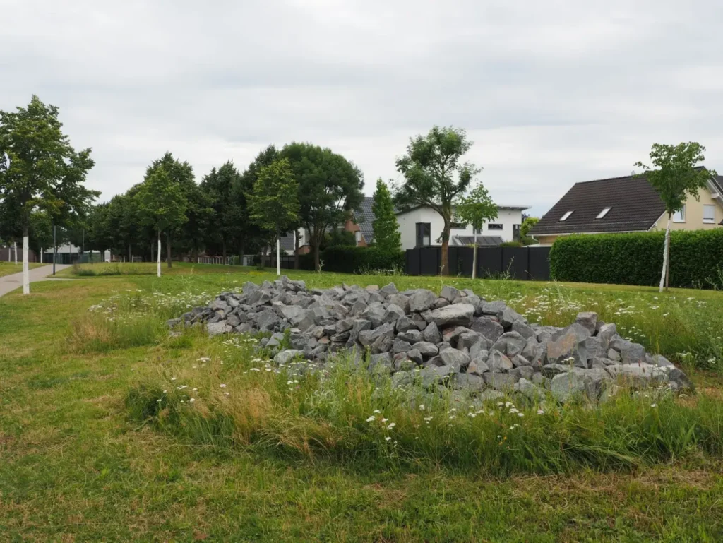 Kommunen für biologische Vielfalt - Praxisbeispiel - Stadt Zülpich – NATUR-CAMPUS Zülpich2 - Steinschüttung