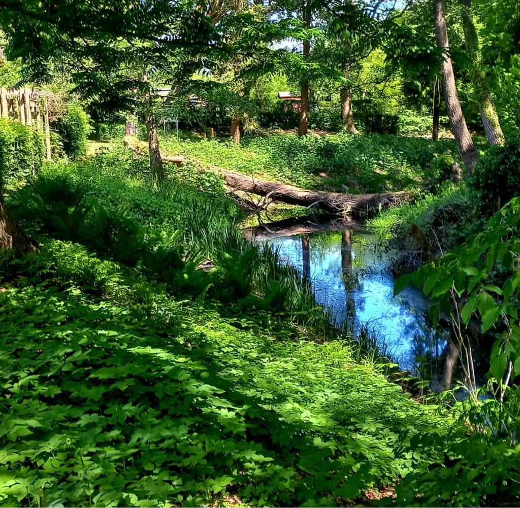 StadtGrün naturnah Boizenburg1