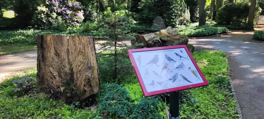 StadtGrün naturnah Kamp-Lintfort2