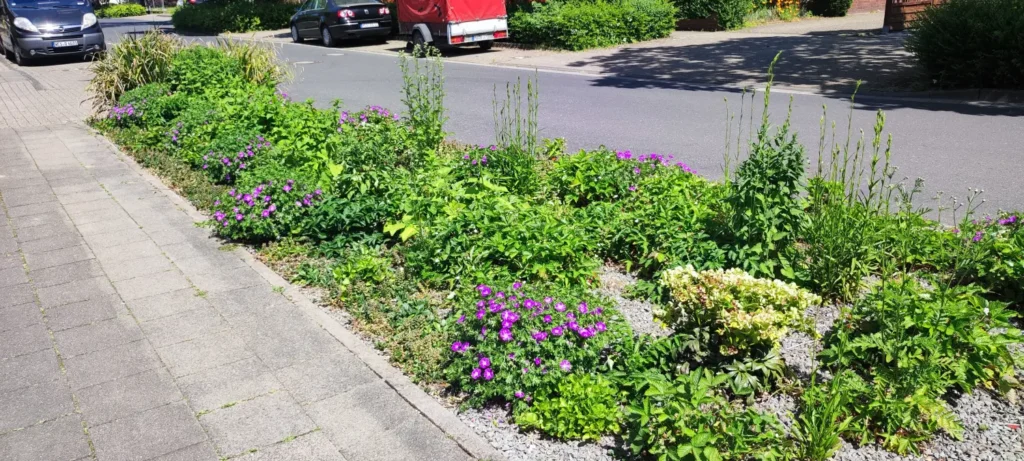 StadtGrün naturnah Kamp-Lintfort3