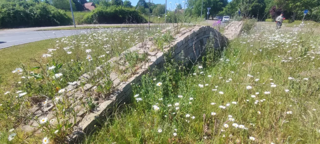 StadtGrün naturnah Münster2