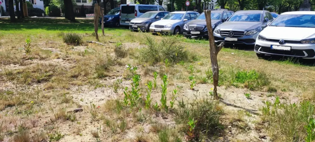 StadtGrün naturnah Oldenburg2