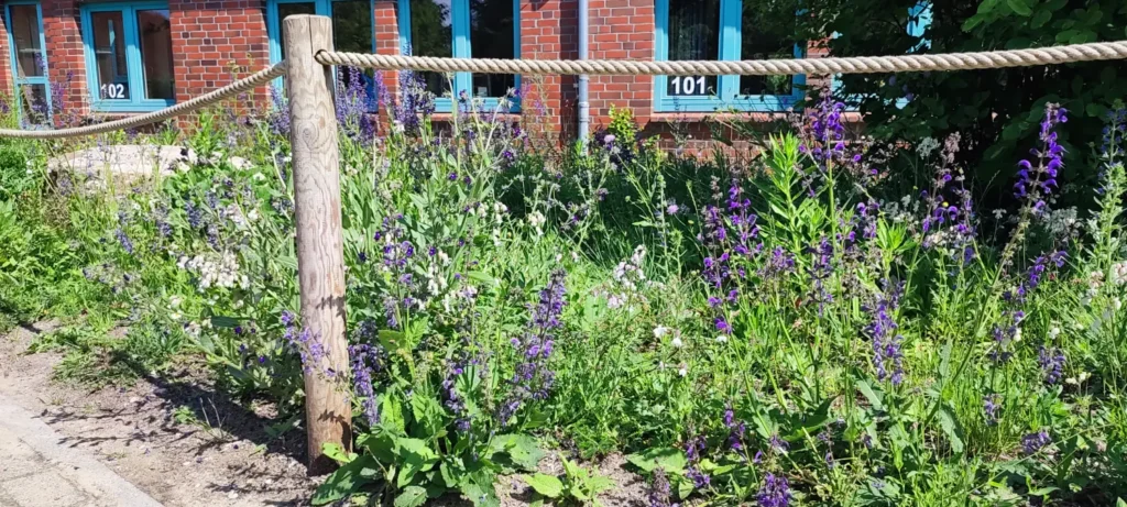 StadtGrün naturnah Schneverdingen2