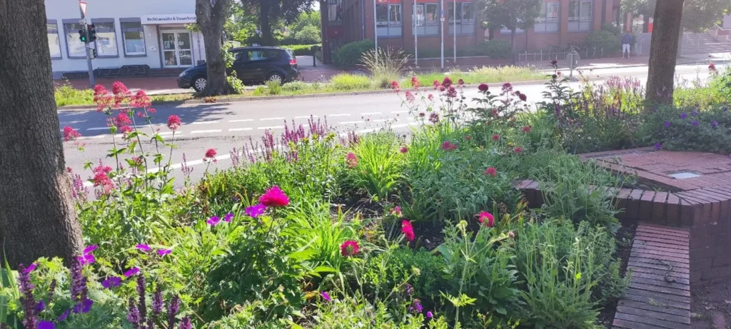 StadtGrün naturnah Schneverdingen3