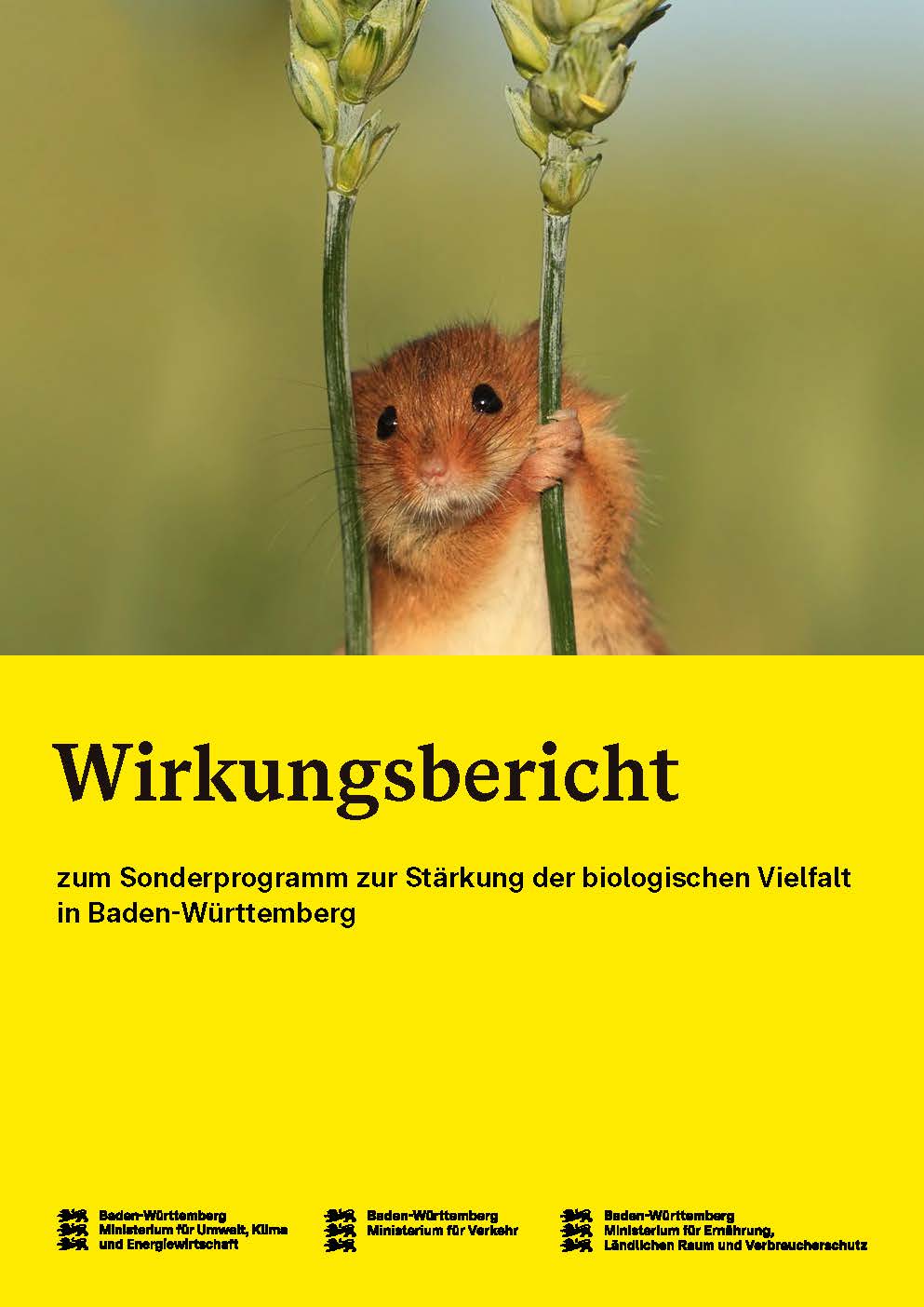 Wirkungsbericht