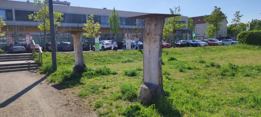 StadtGrün naturnah Poing1